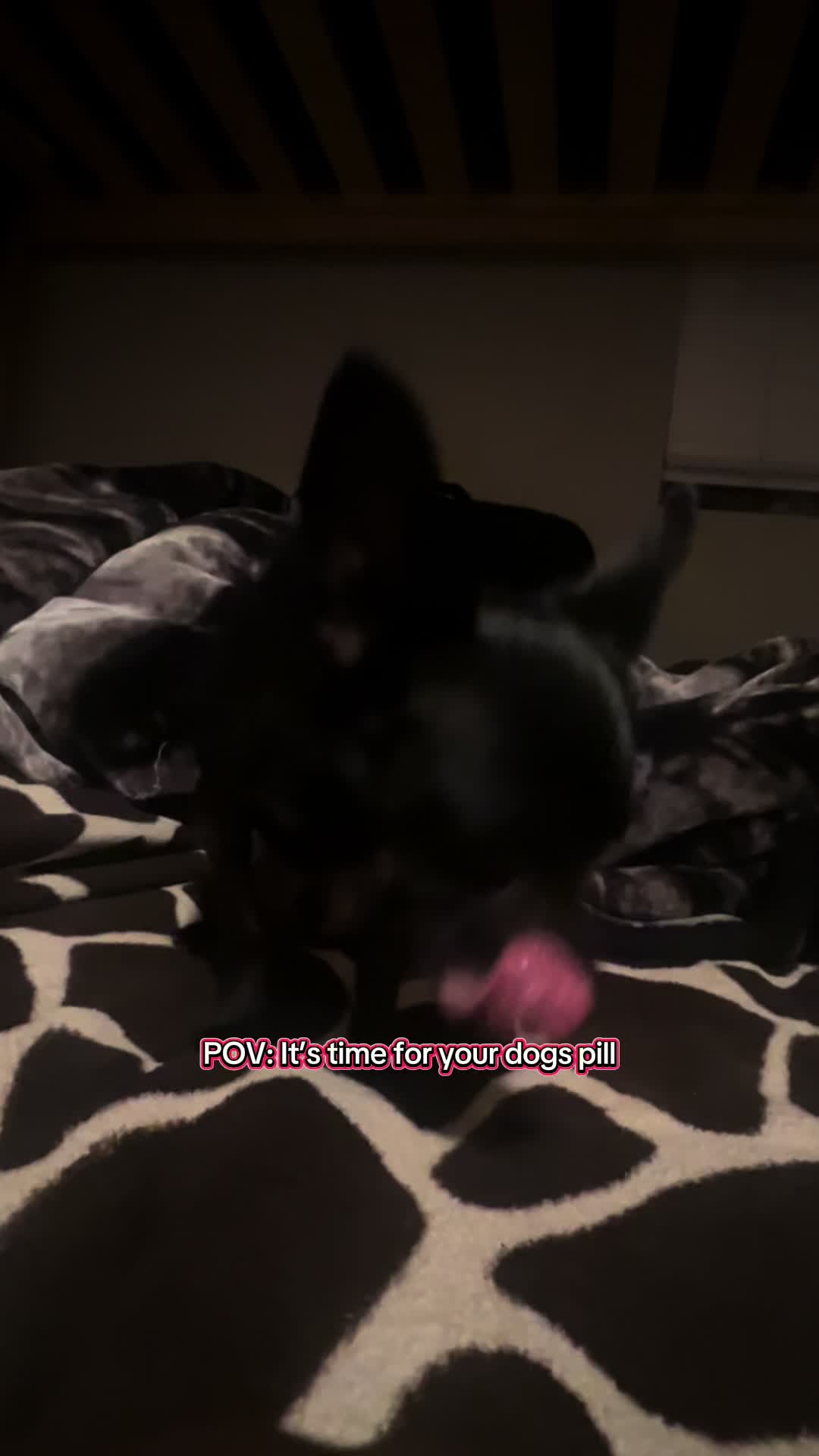@Jojo
