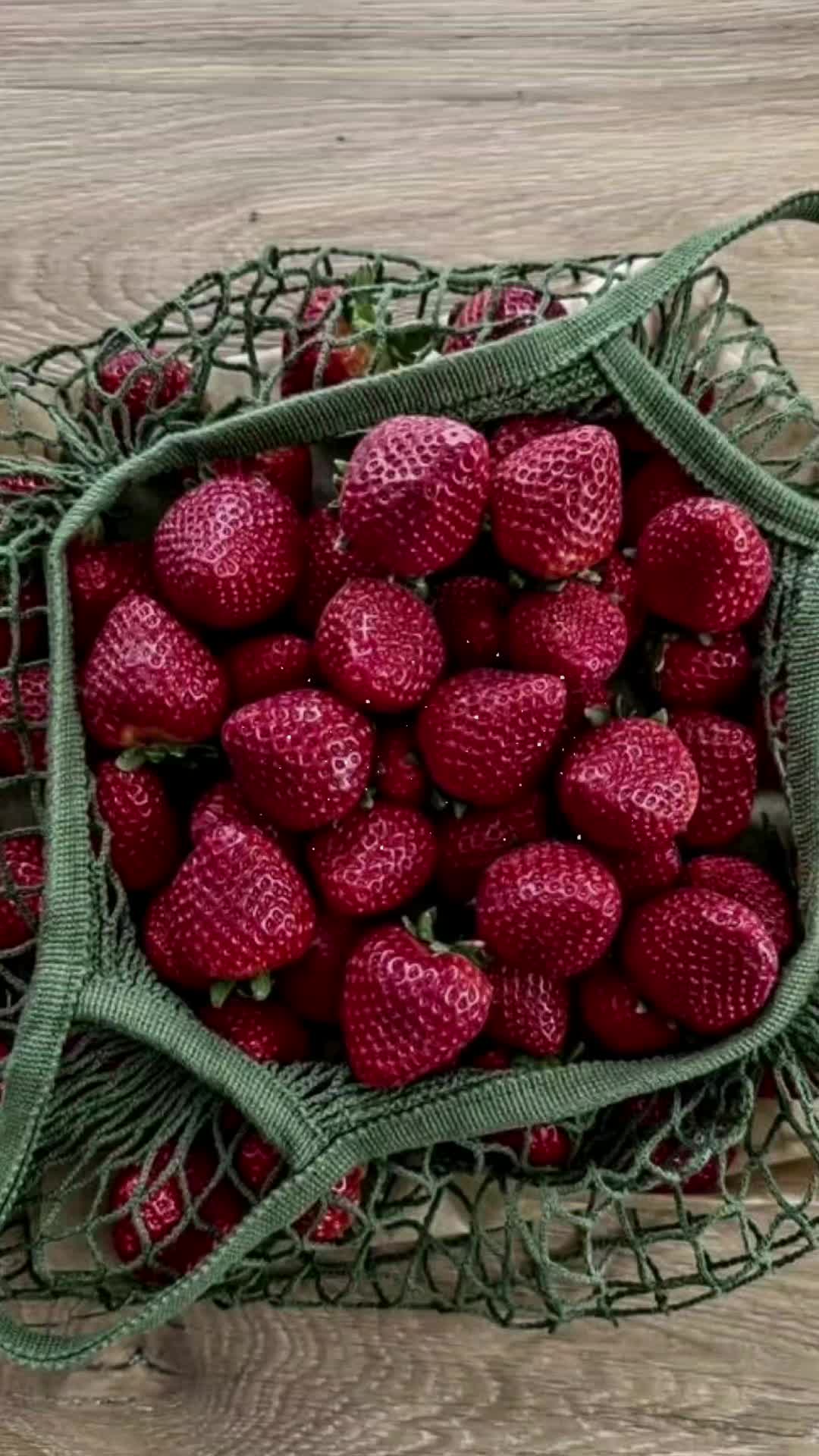 @꘩ 𓊔 sᥲrık&upsilon;ᥣᥲ 𝂅 ࣪🩷 𝂅 ᵎᵎ