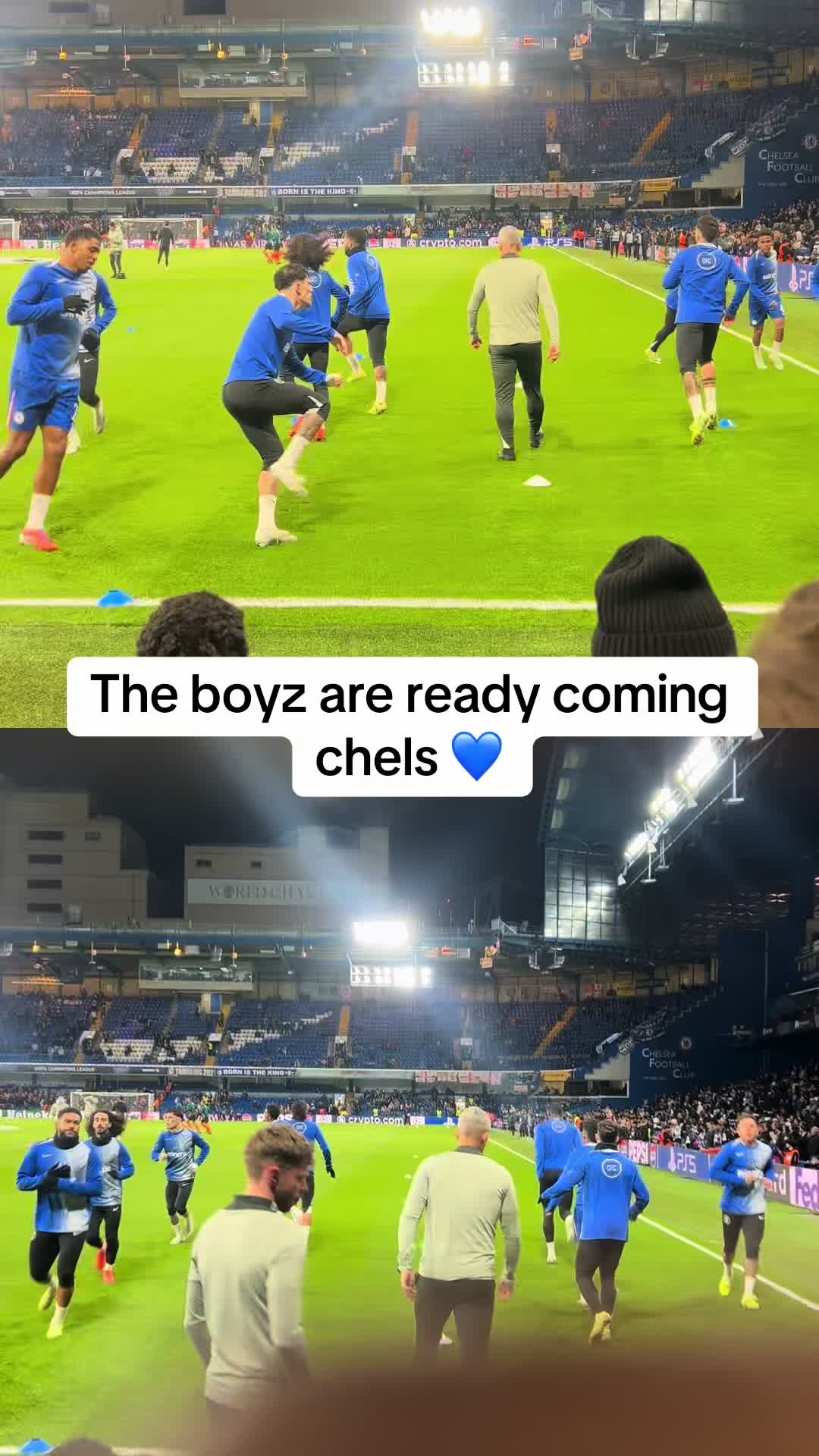 @BLUESFANTV