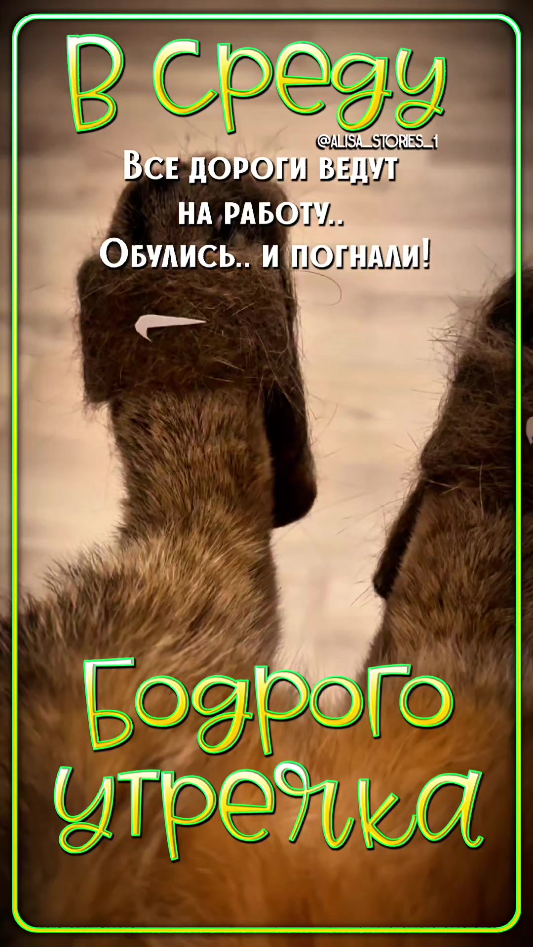 @TГК:alisa_ stories_1