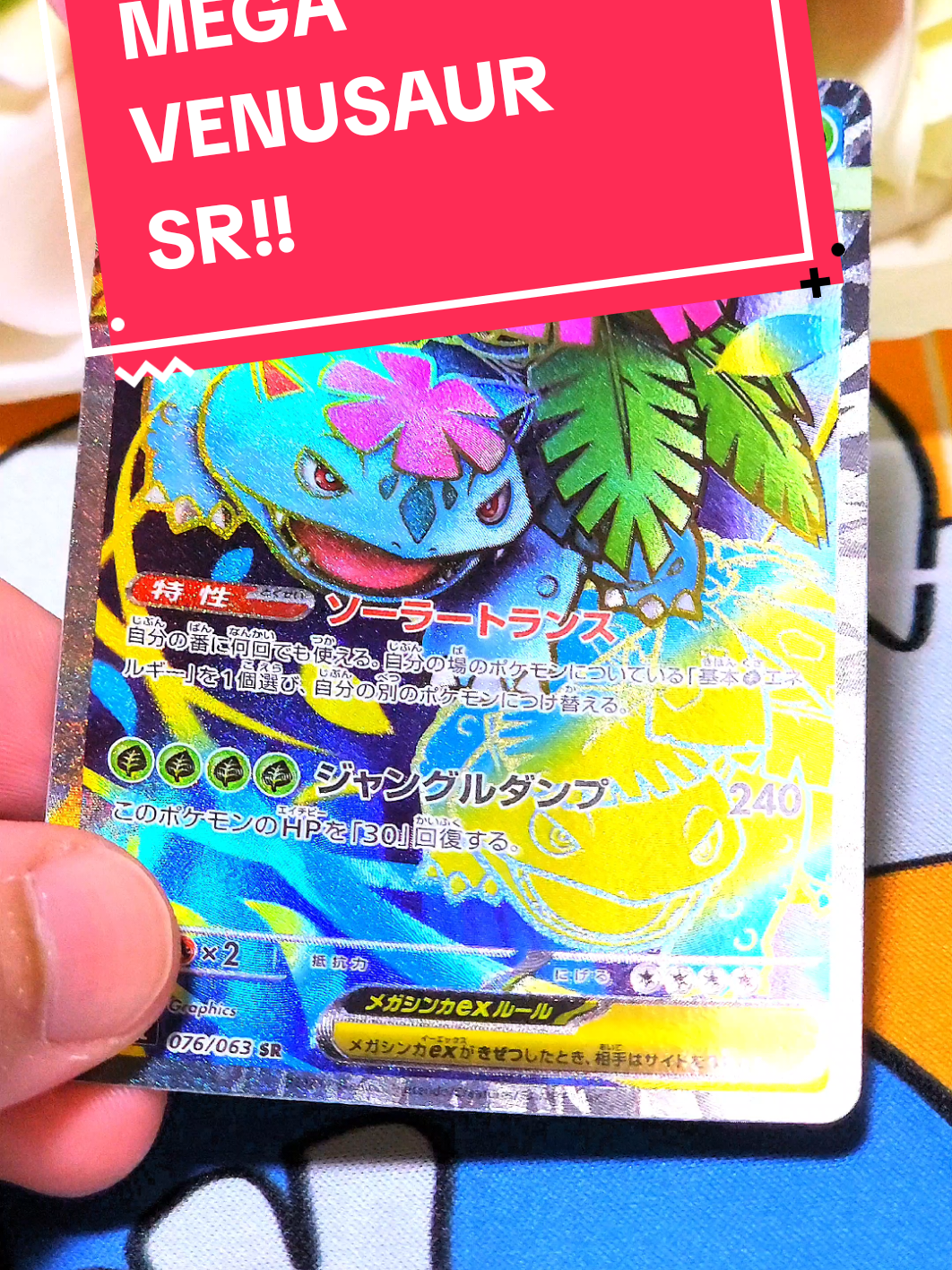 @SeekGodPacks🇧🇷🇯🇵