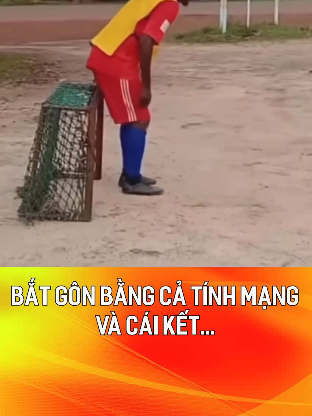 @Brave Wilderness TTV