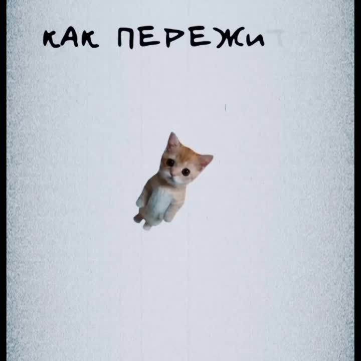 @𝐾𝑎𝑟𝑦𝑎
