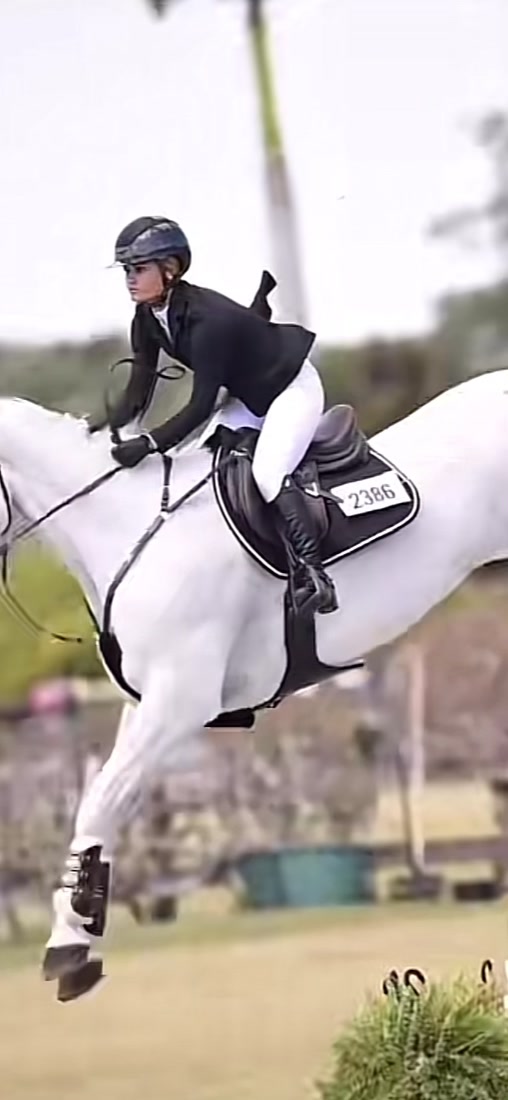 @PERFECT HORSES FOR ADOPTION