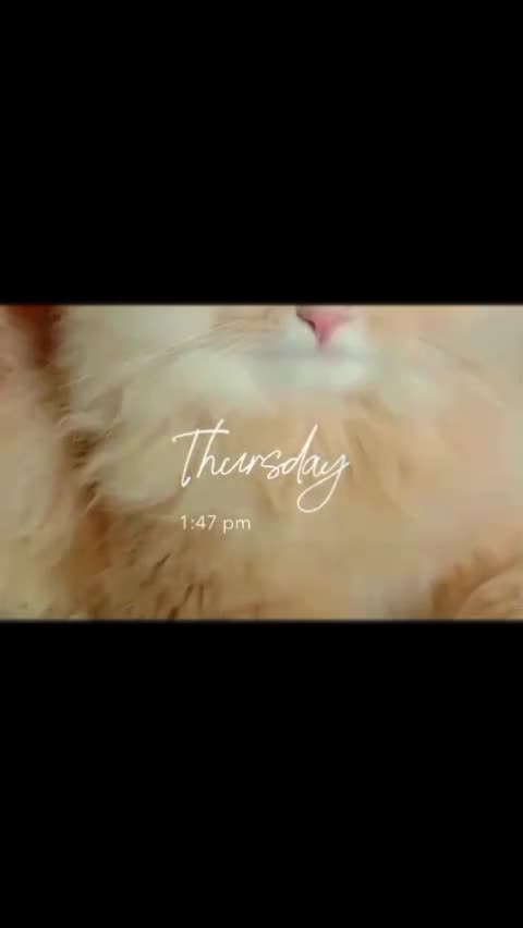 @wسsy خان ❤️😍