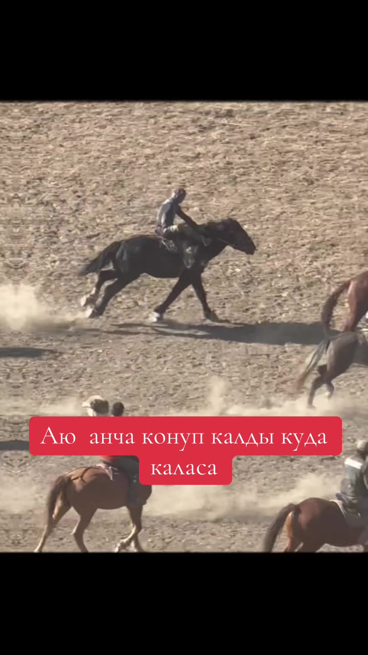 @Oskonbai Tajibaev