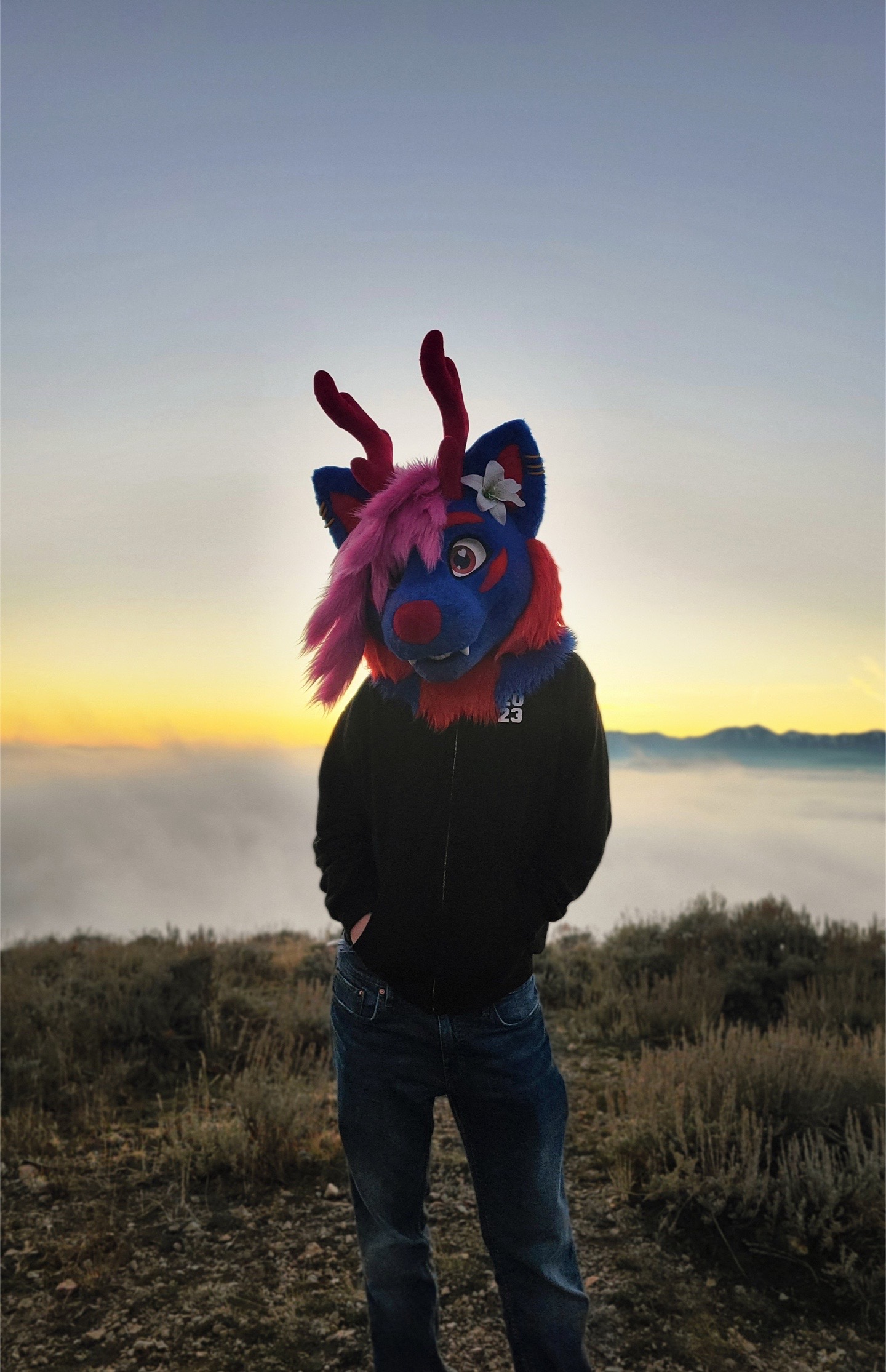 @BlueNeonPaw