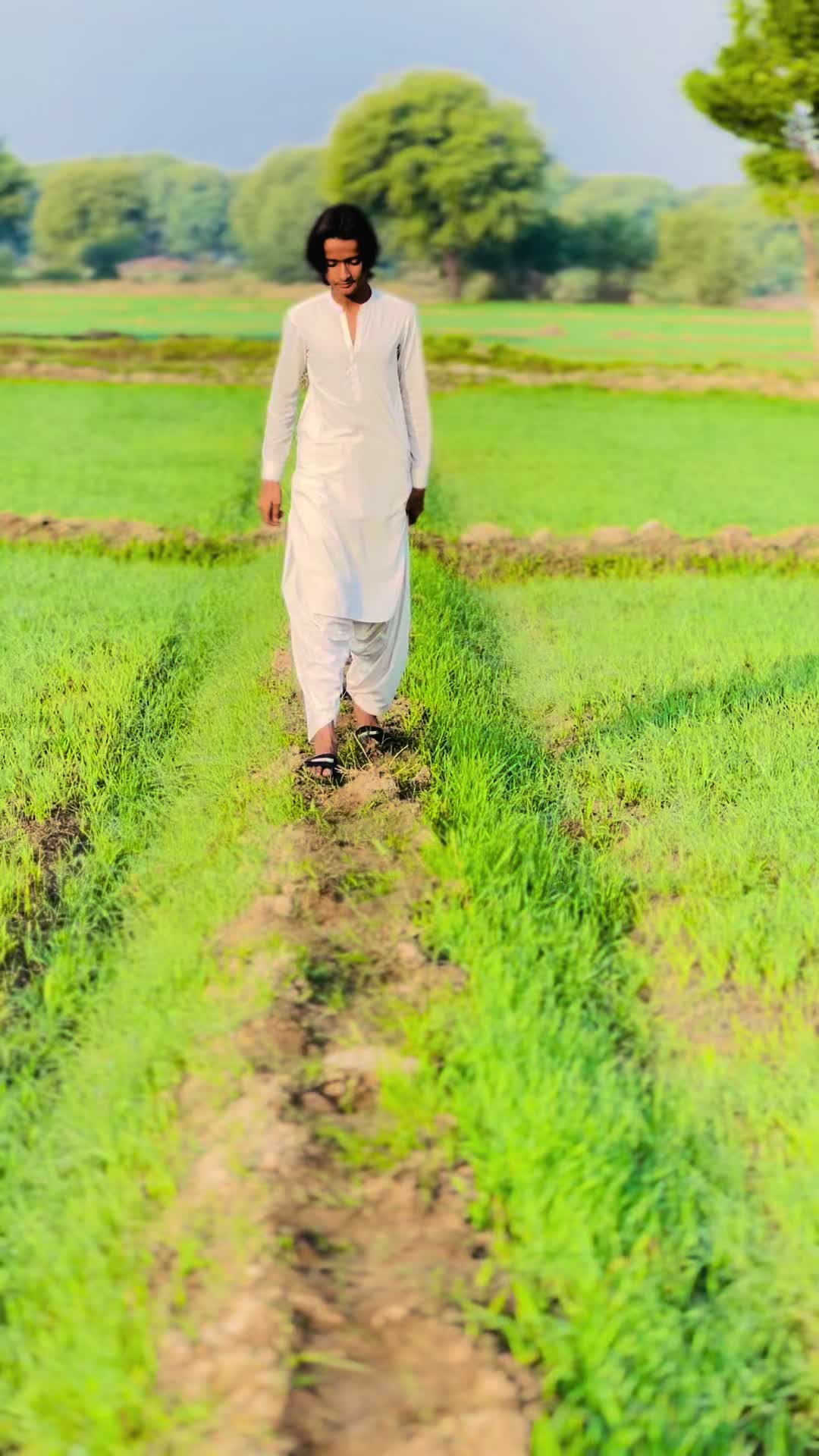 @ABDUL_NABI🫶🏻