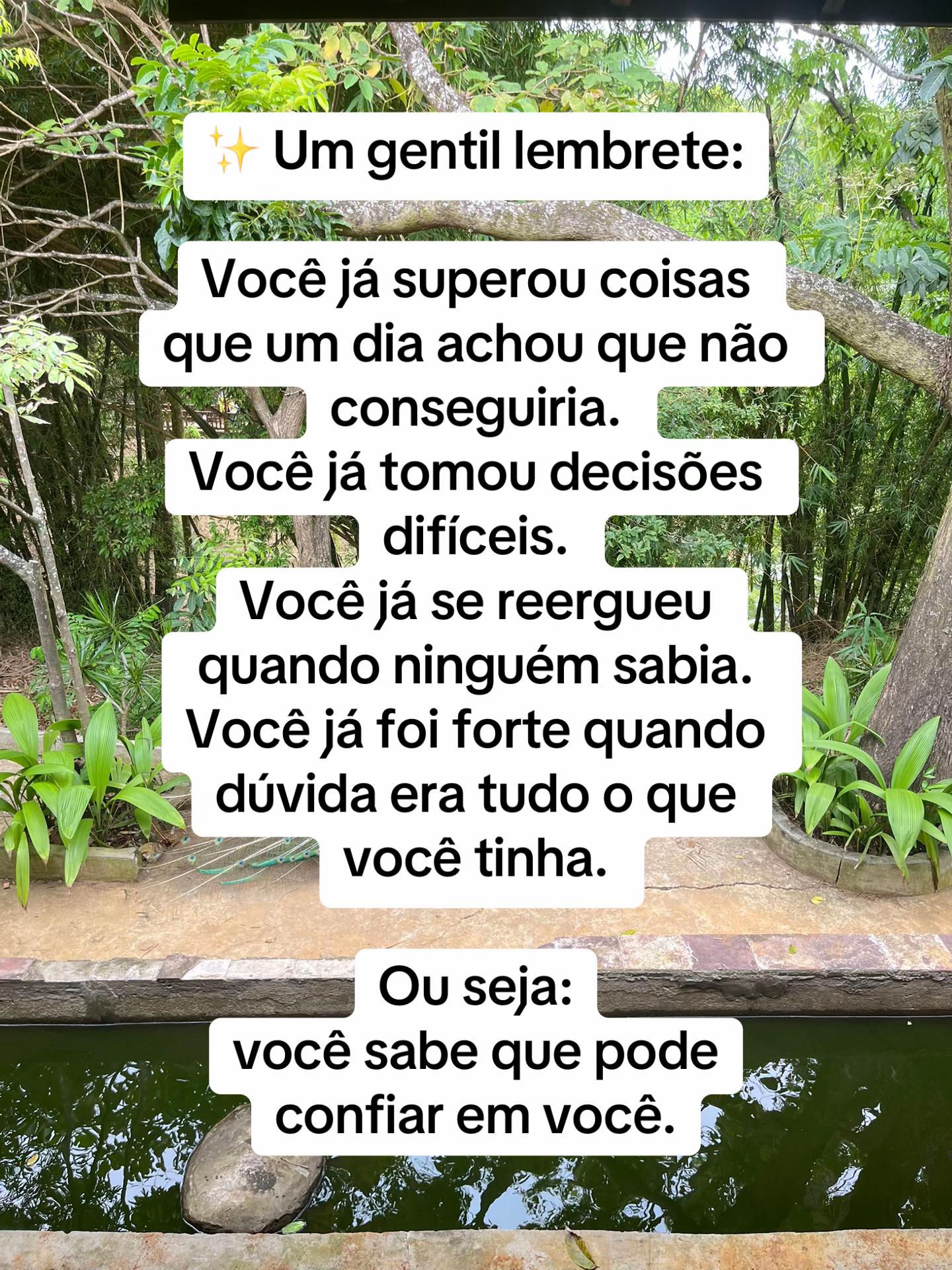 @Vanessa E. Santos | Terapeuta