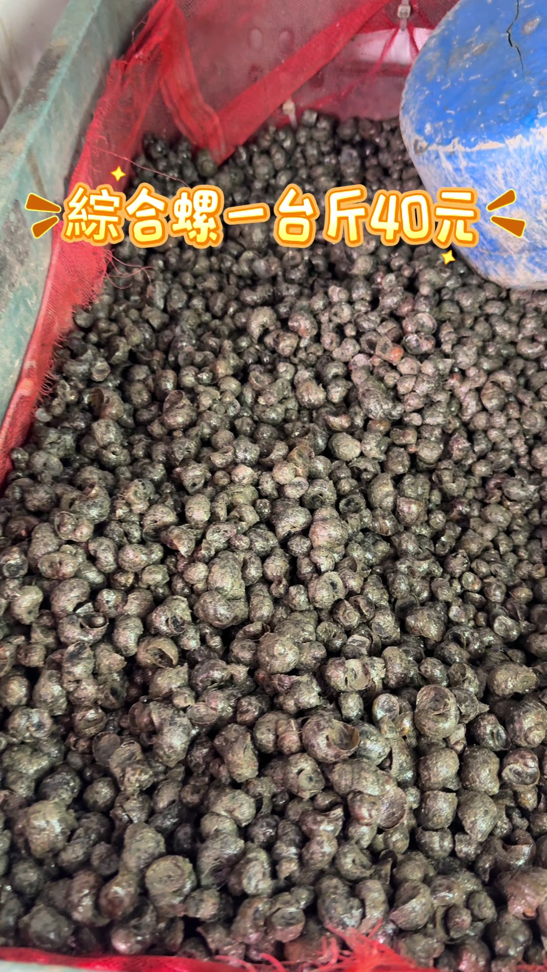 @阿興檳榔攤（金寶螺專賣店