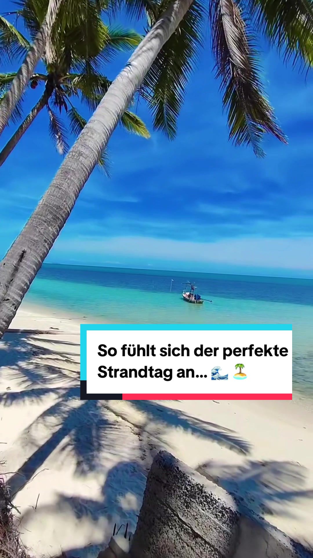 @🏝️ Magical Island Samui 🌴🍹