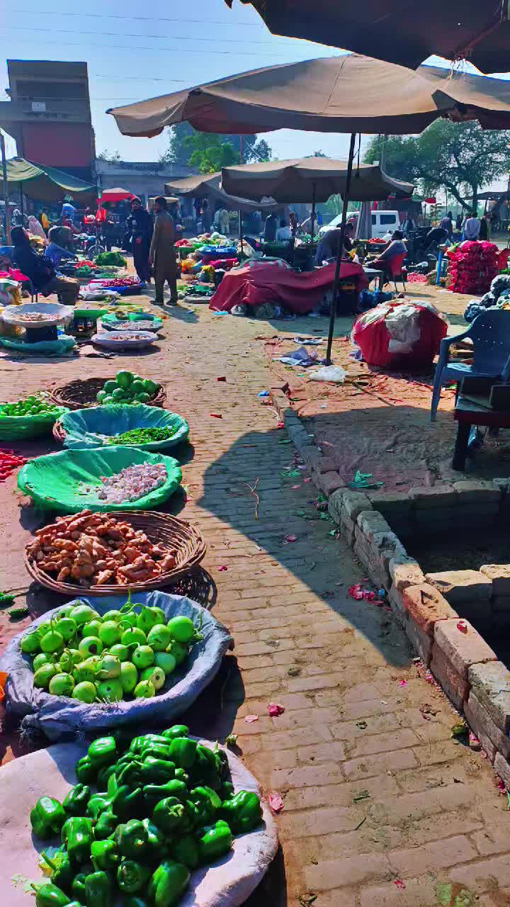 @Gujrati Munda🦁✌🏻