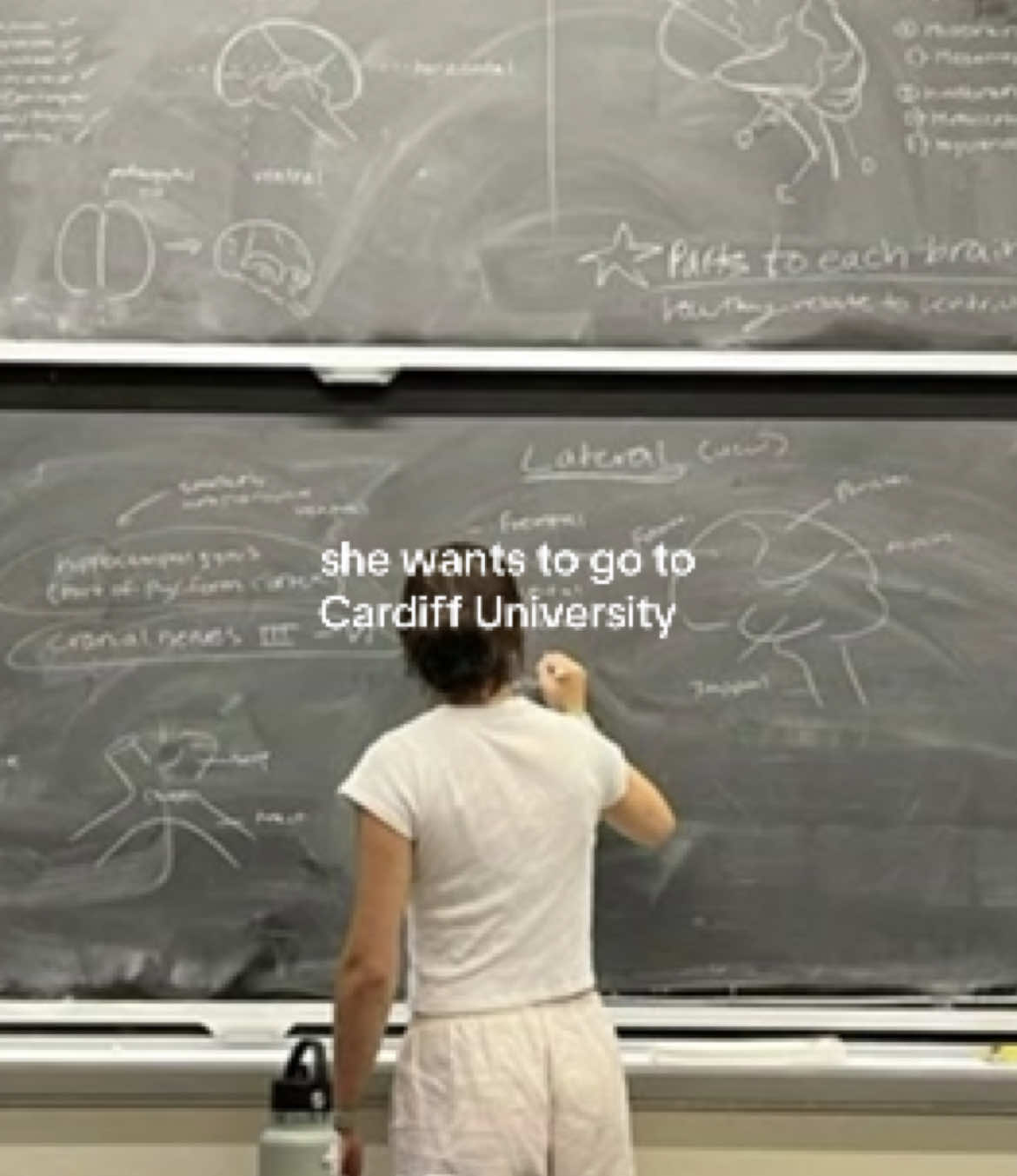 @lili