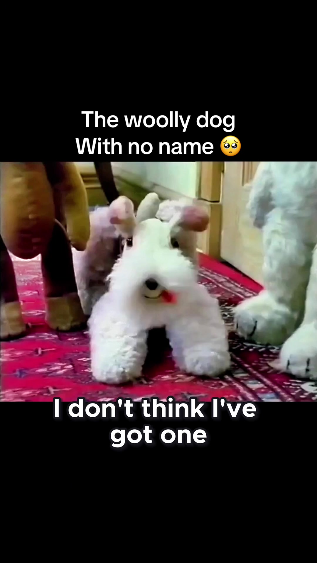 @OldBearSquad