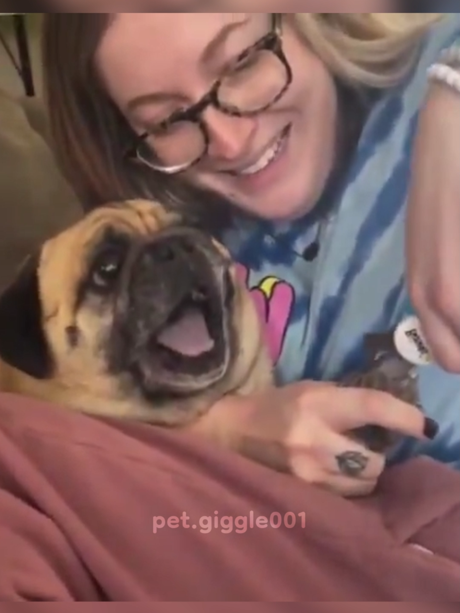 @Pet Giggle
