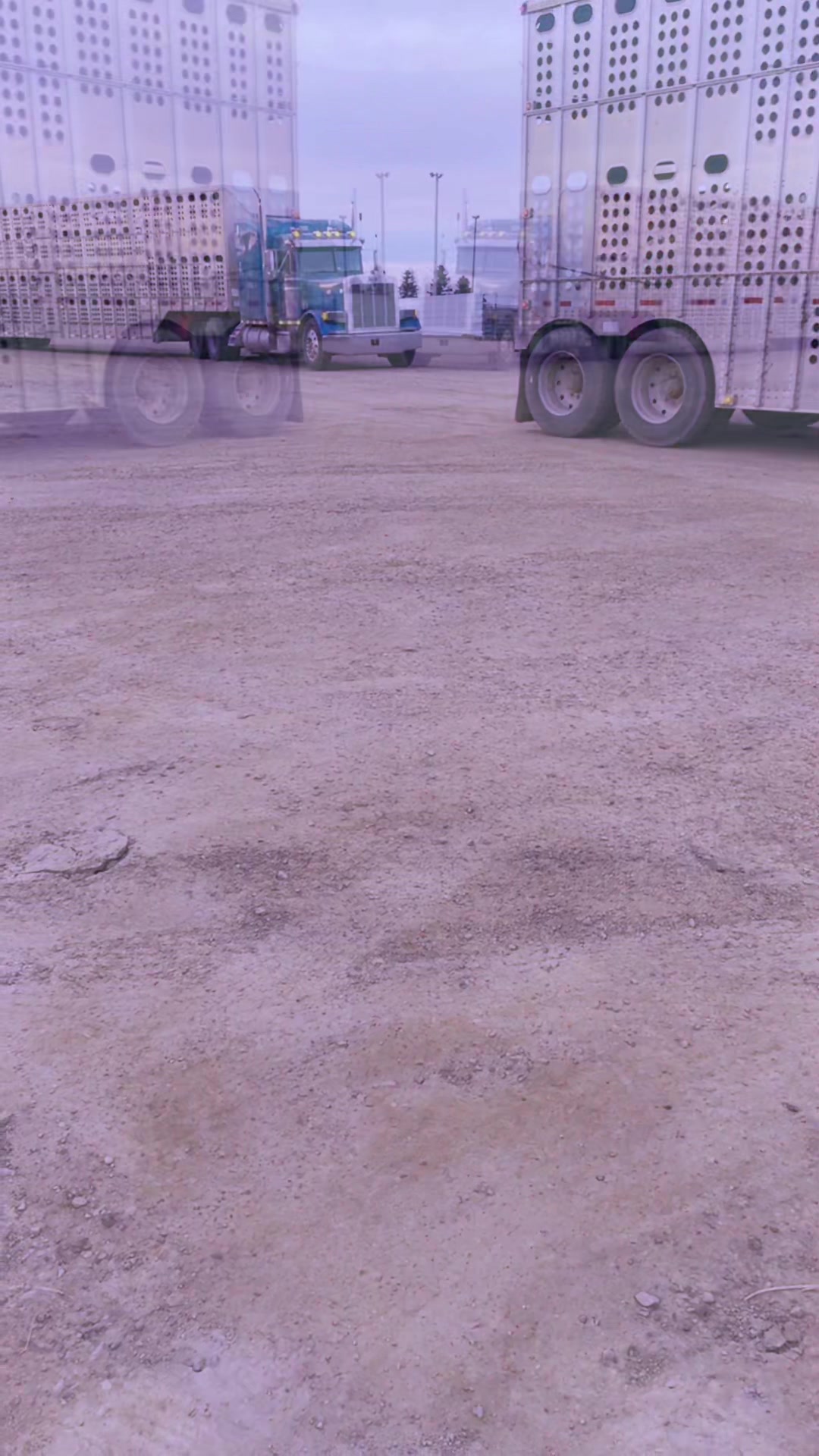 @RedNeckMafia