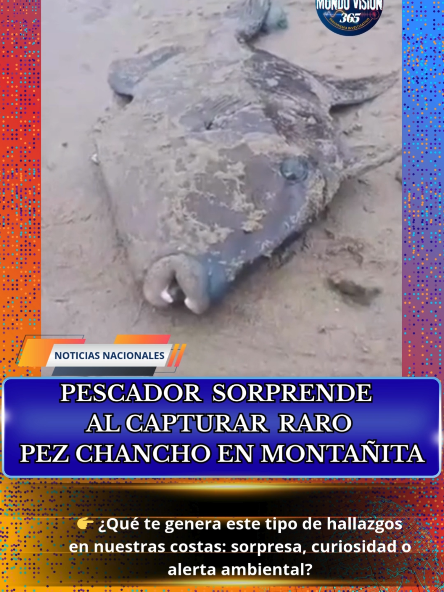 @MundoVision365