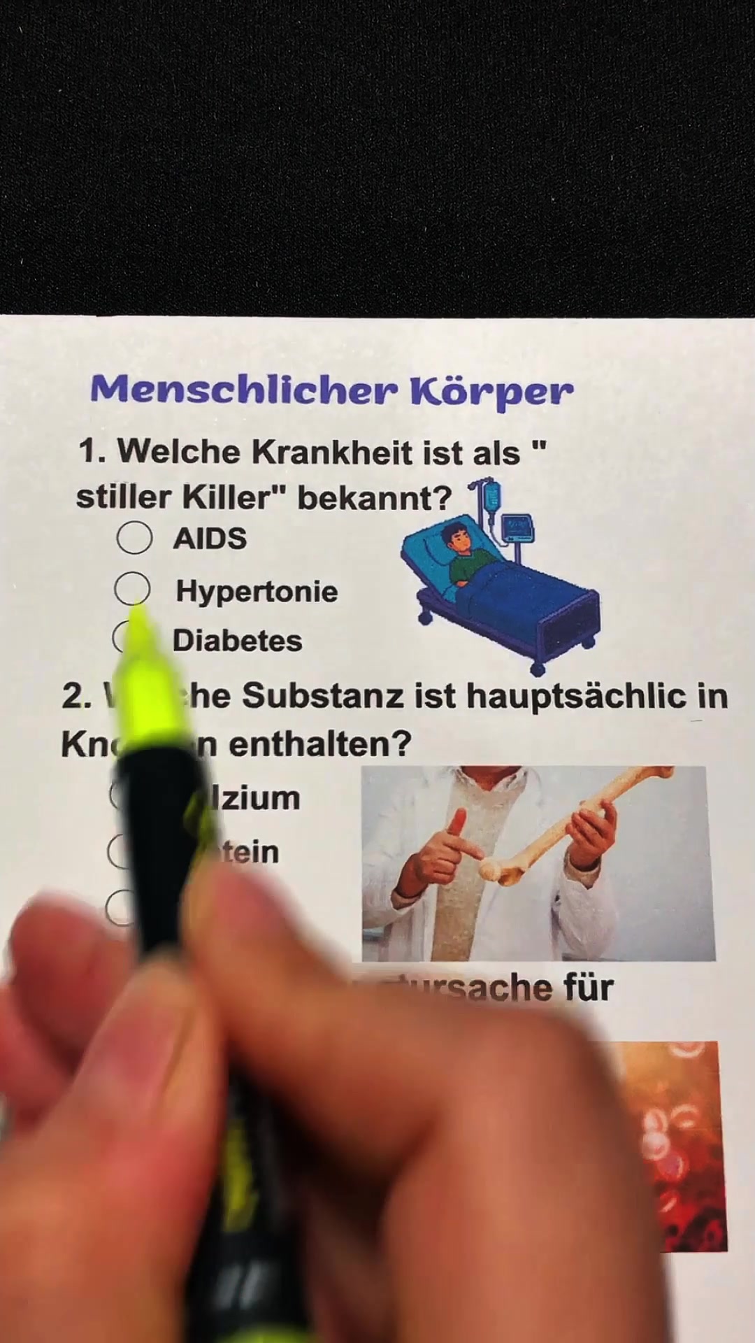 @Base Quiz