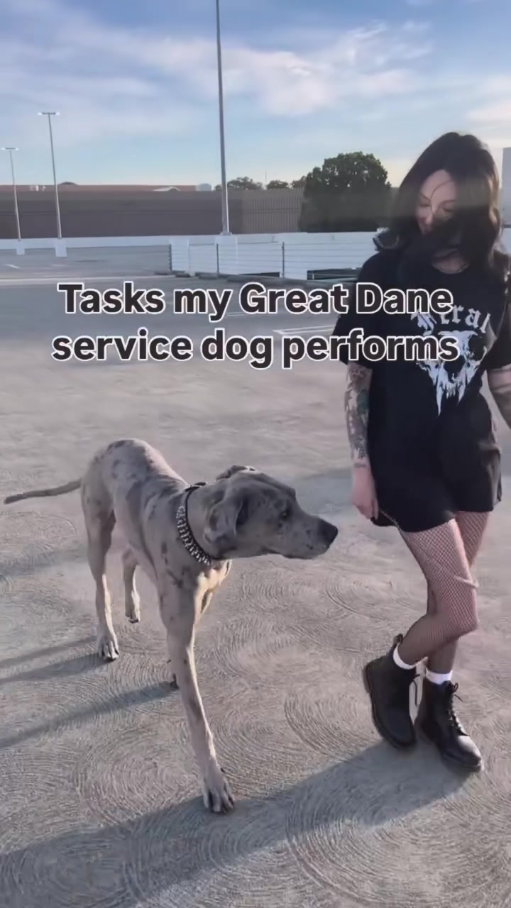 @lex 🐺⛓️