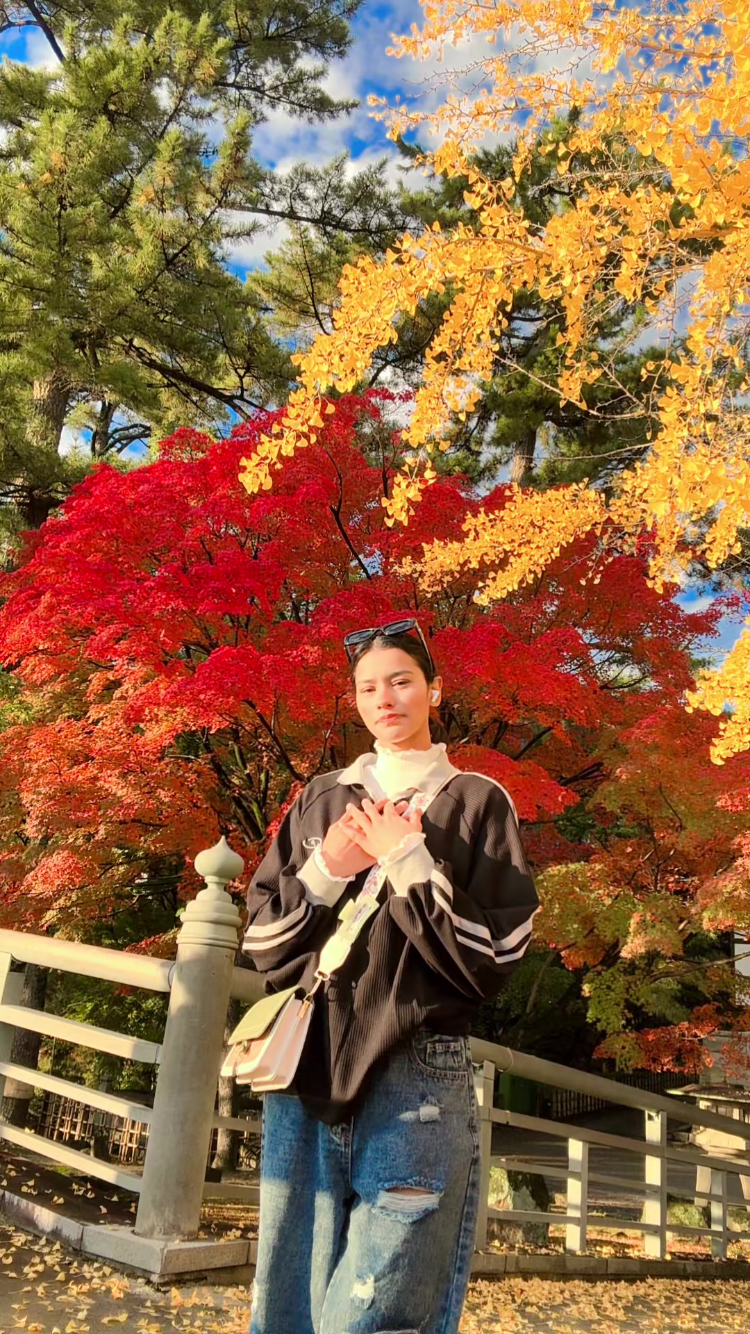 @カマラ🥀🦋
