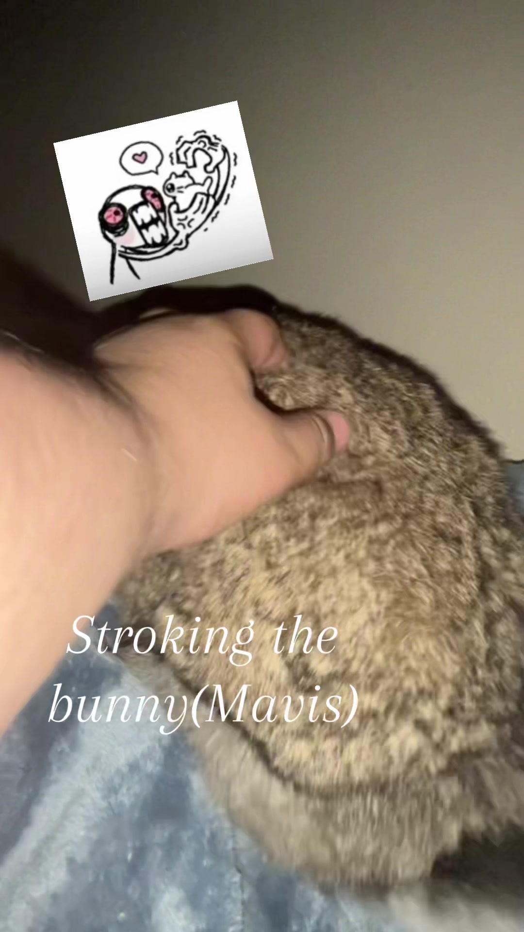 @Fadedbunny69