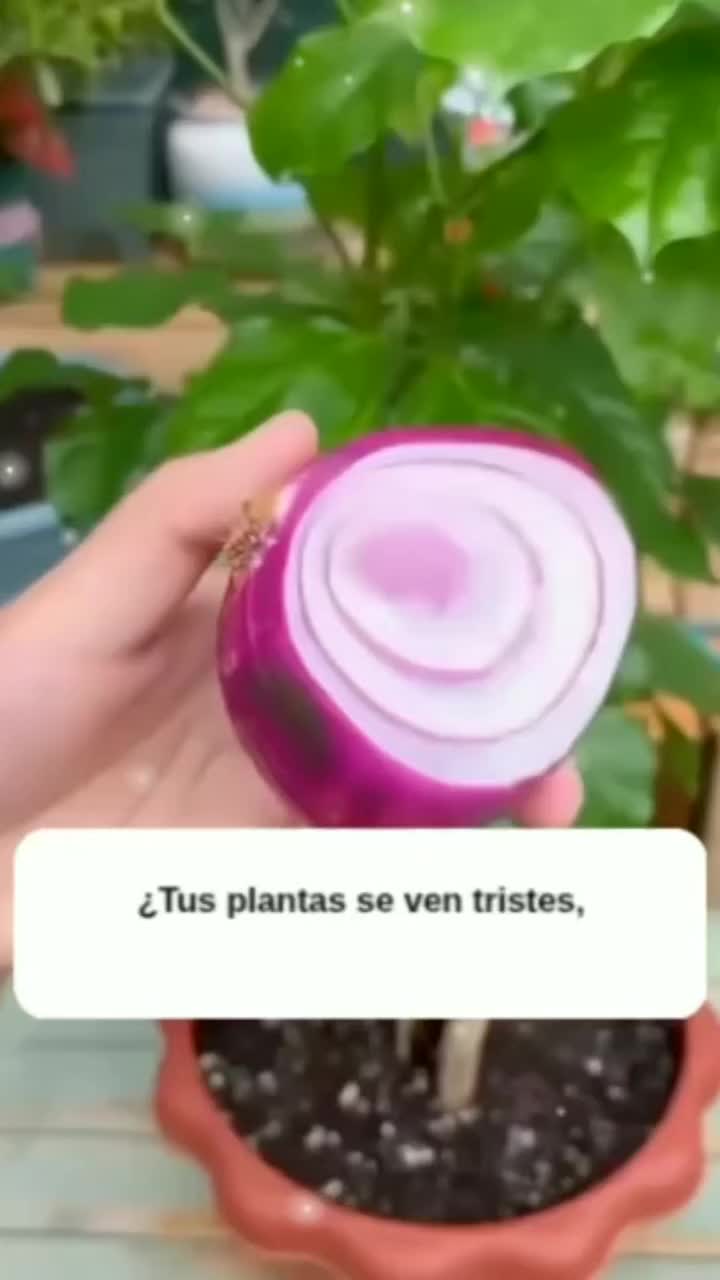 @MIJARDIN