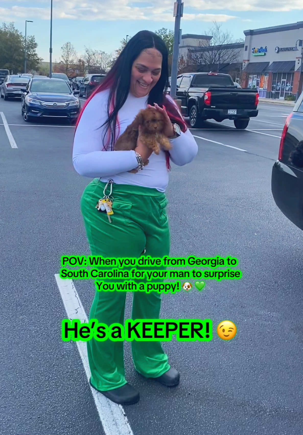 @Dog Lady