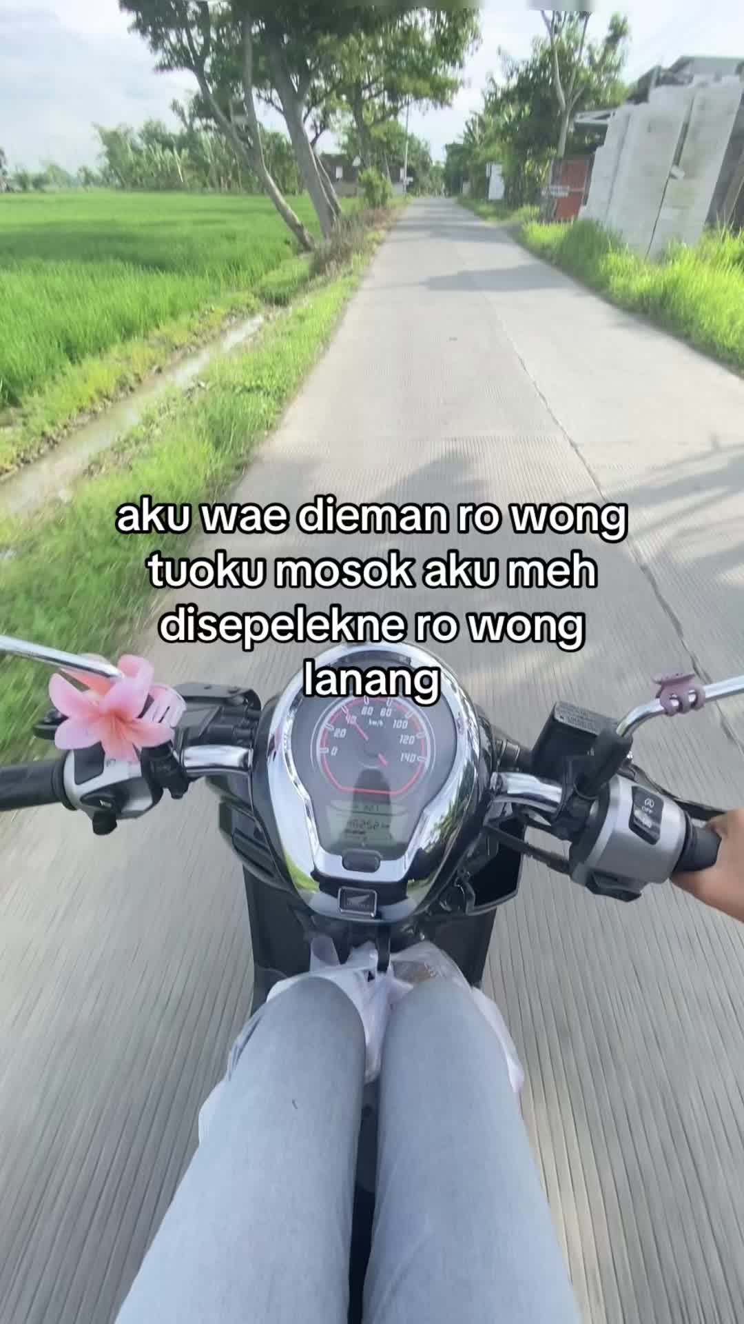@Jihann
