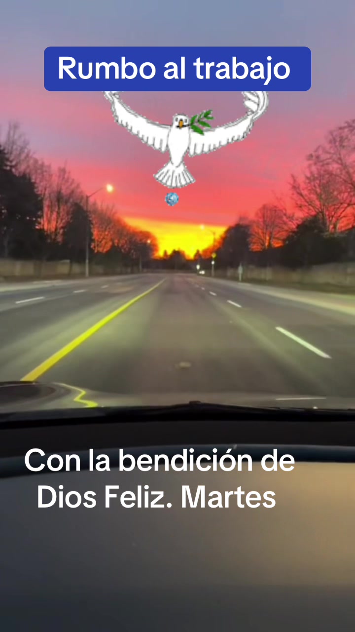 @central87