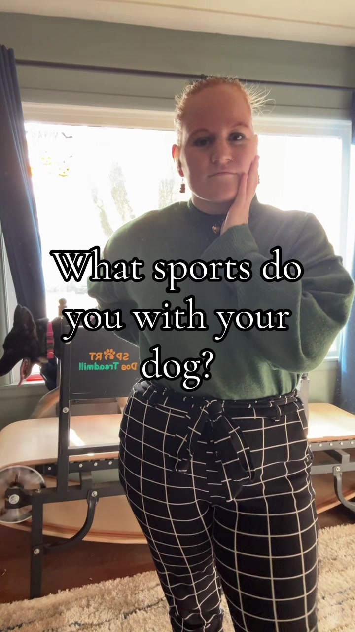 @potsiewithdogs