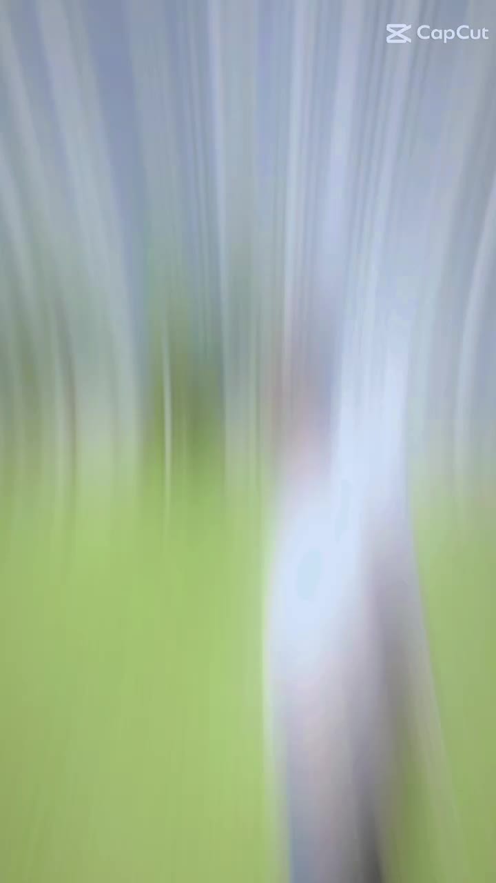 @𝒘𝒊𝒏𝒅𝒓𝒂𝒏💢🤍🥷