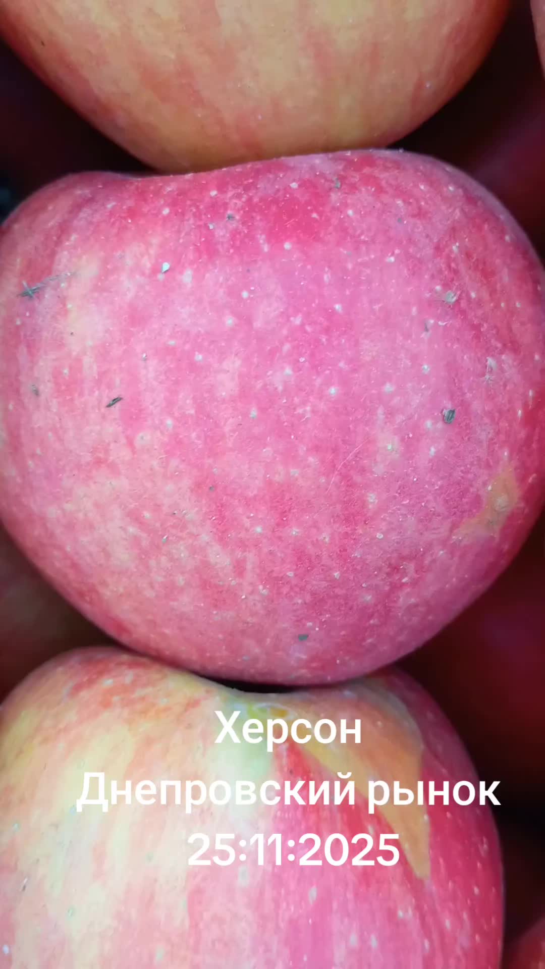@IOSIF99999