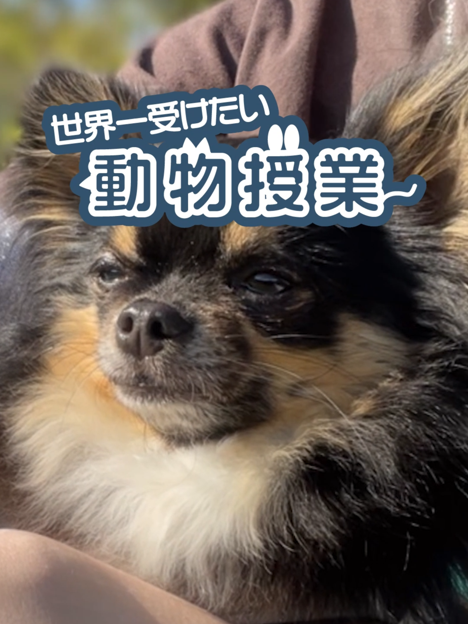 @オダガワ動物病院