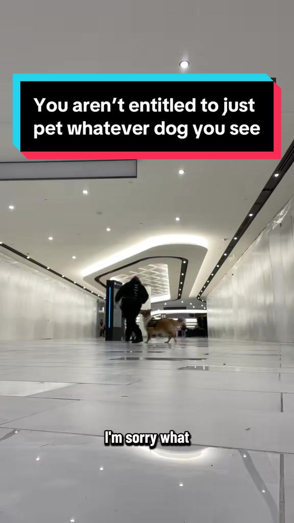 @Dakota & Pups