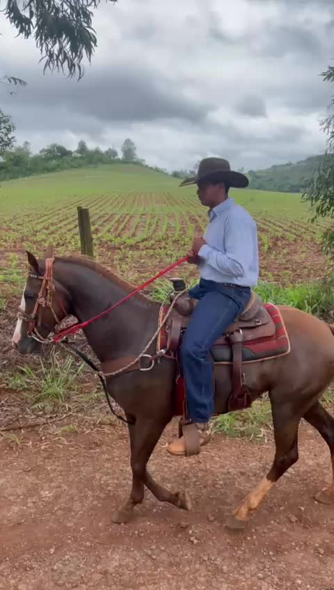@Leonardo nery de sena