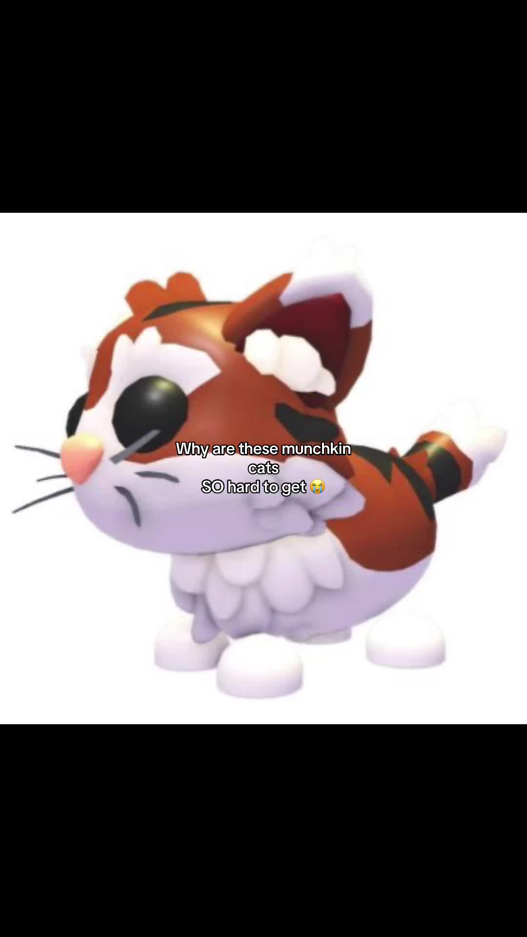 @𝜗𝜚⋆˚ℒ𝒾𝓁𝓁𝓎˚˖𓍢ִ໋🦢˚