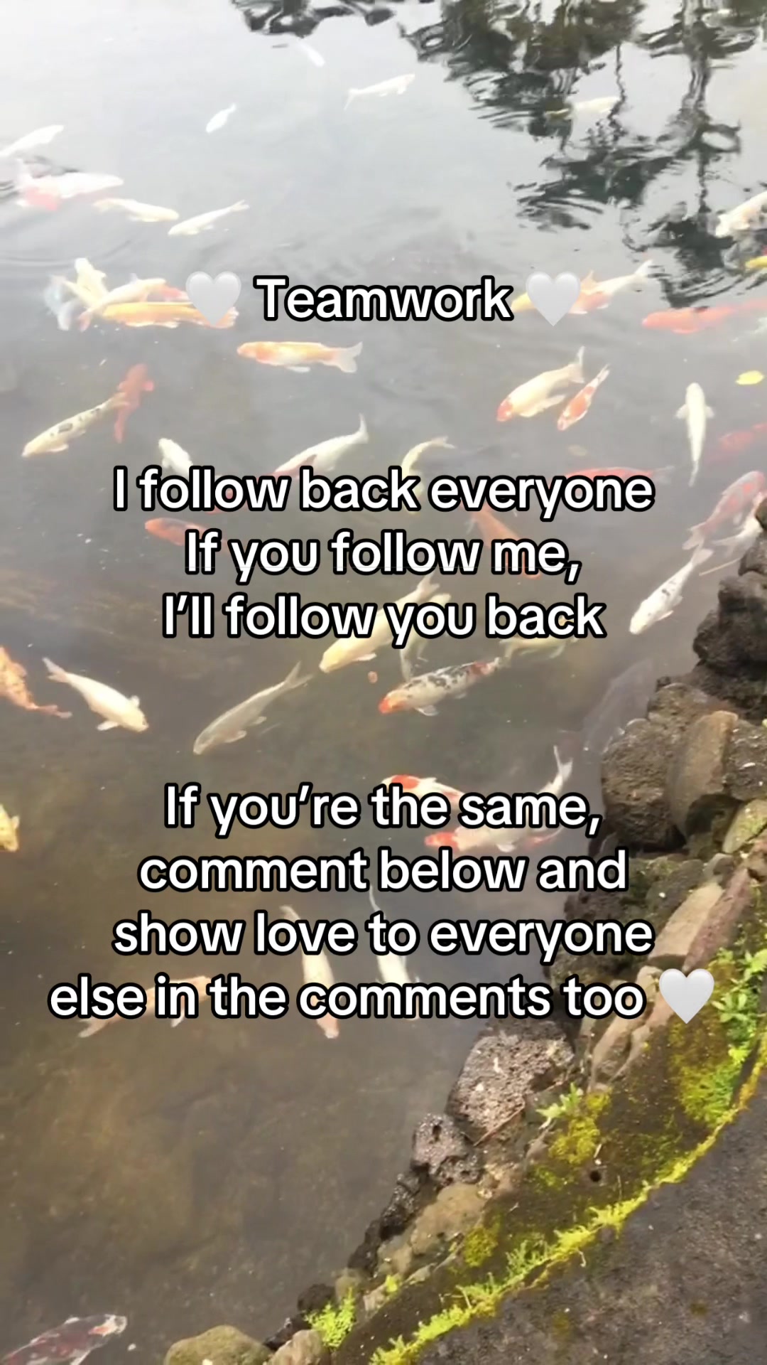 @ktjwashere