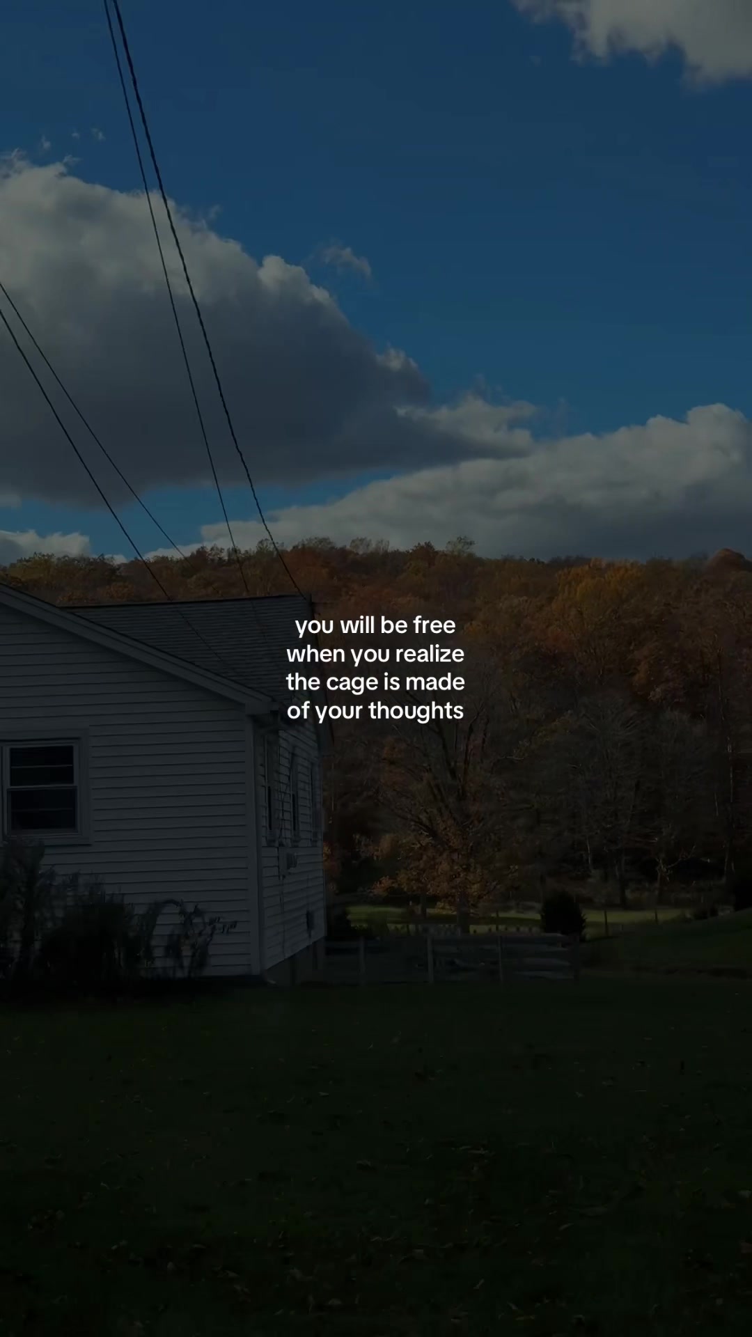 @mind your garden