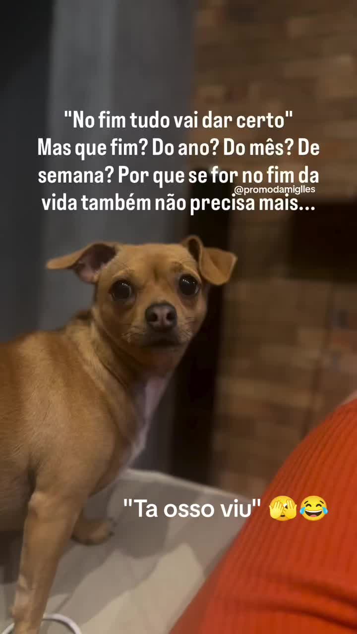 @Dani Gon&ccedil;alves