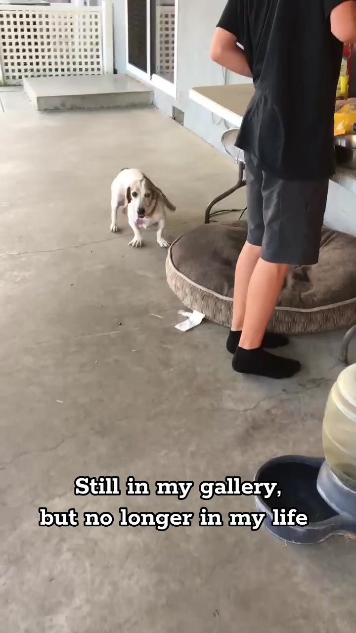 @Jenna 😦