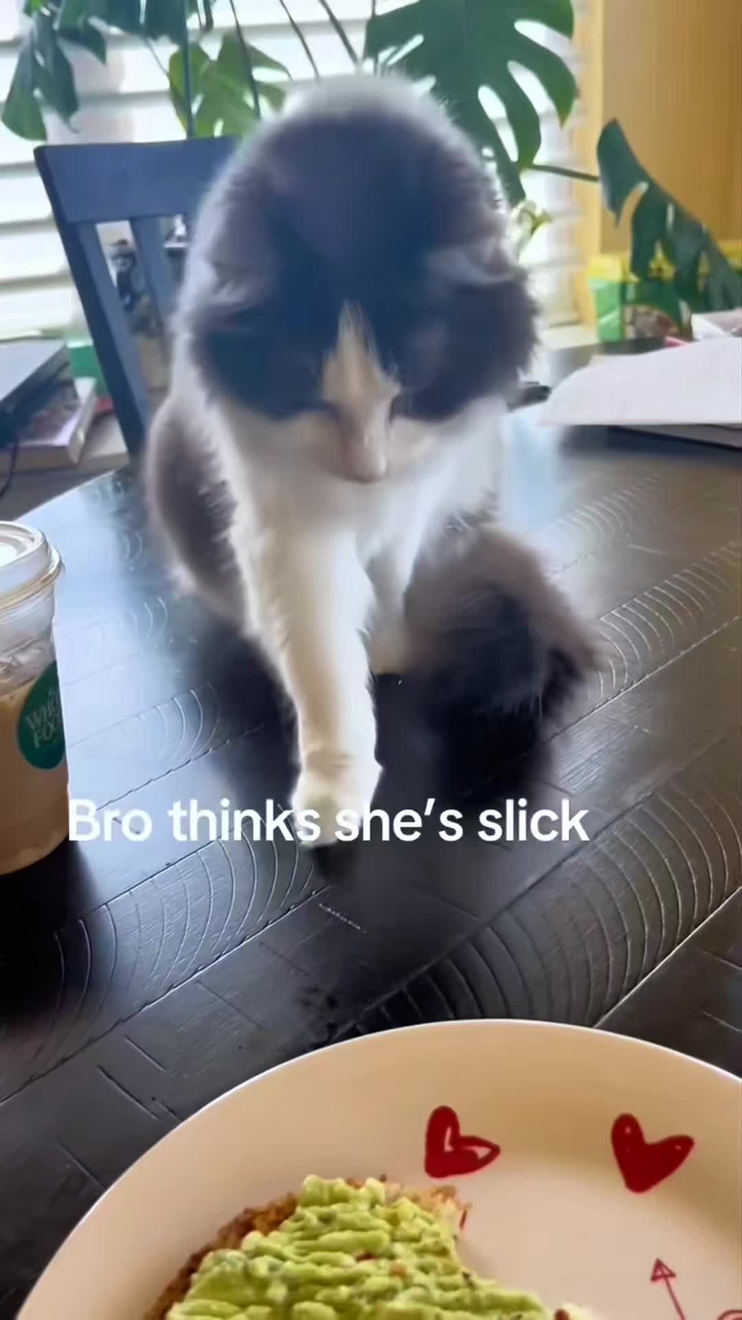 @StacyLynn3.0