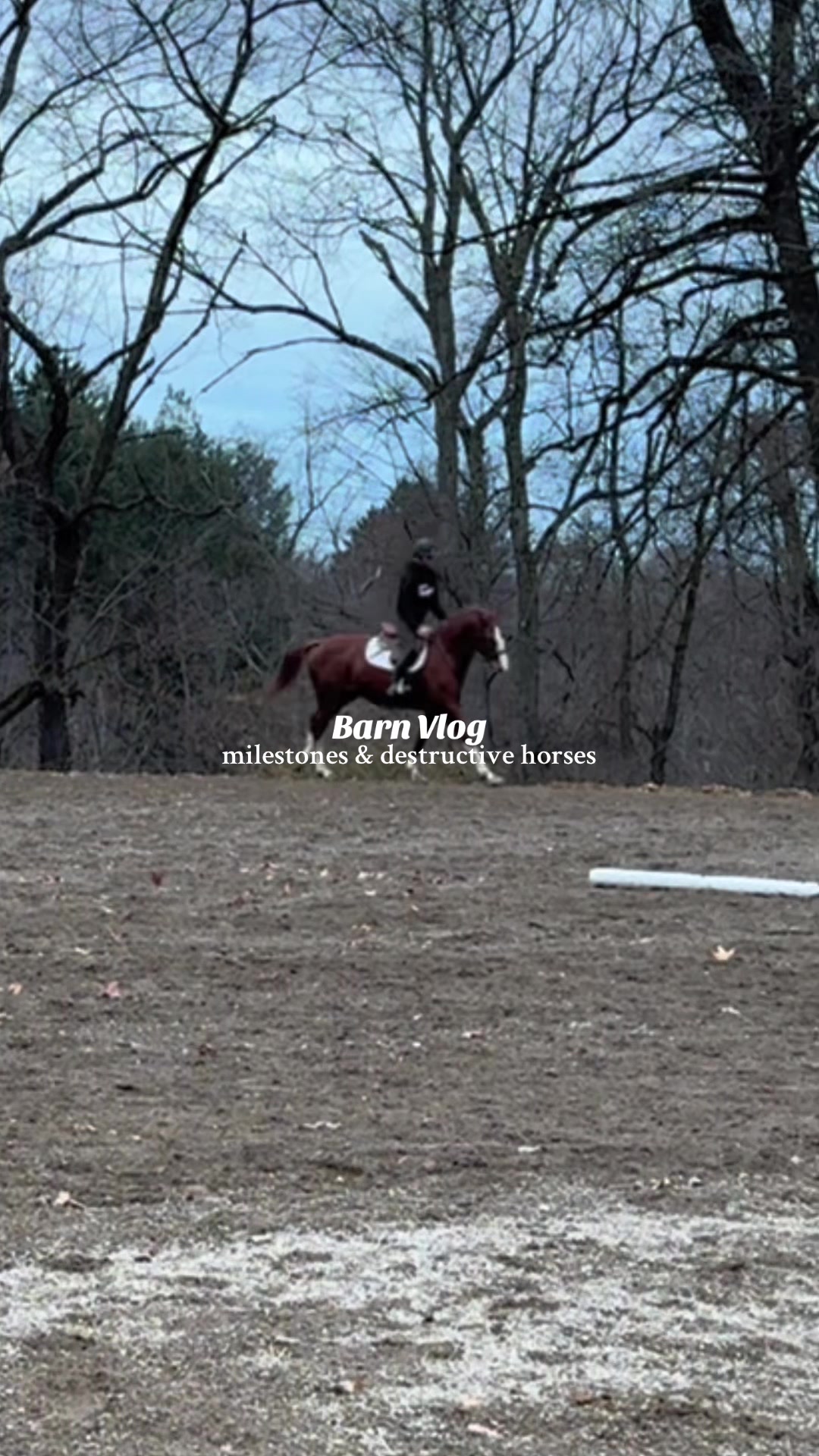 @Lunar Hill Equestrian