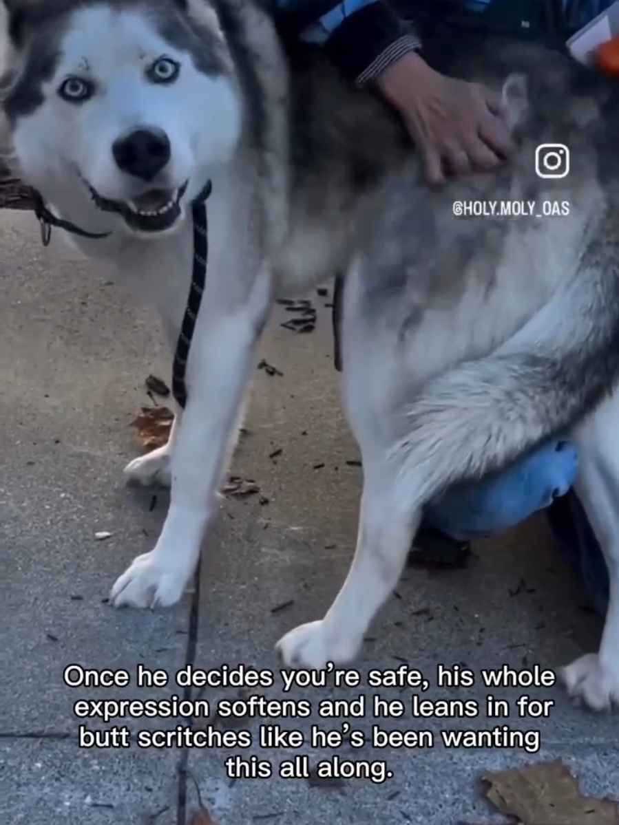 @Oakland Animal Services