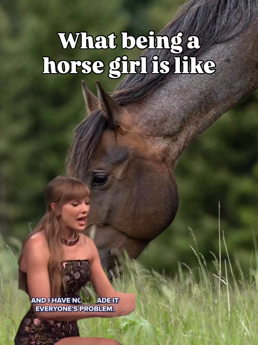 @Young Rider