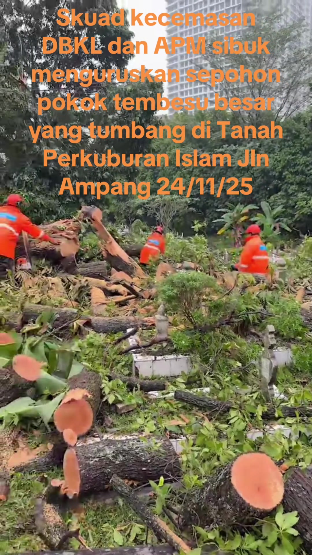 @Anuar Ngah