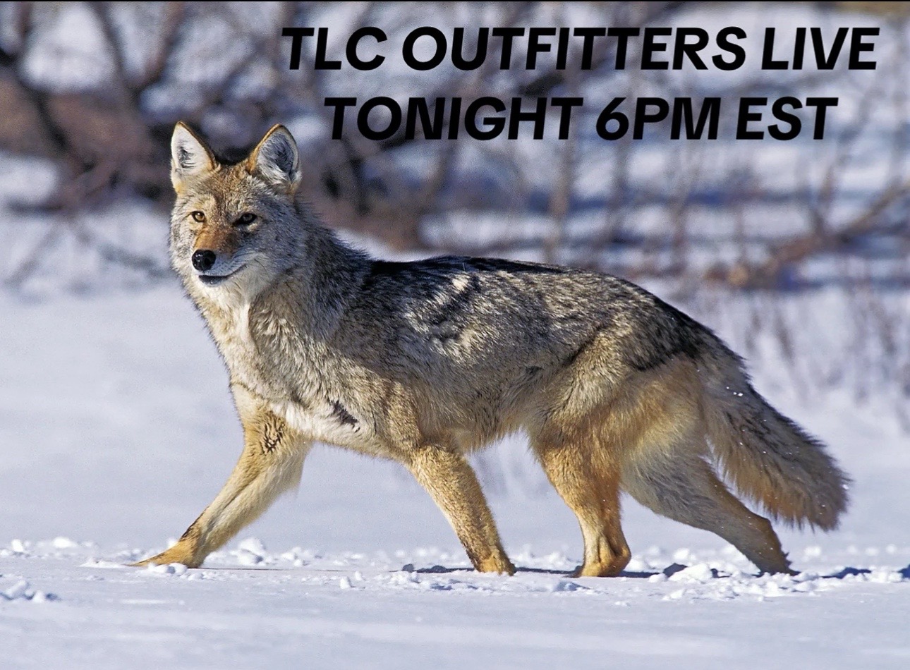 @TLC Outfitters