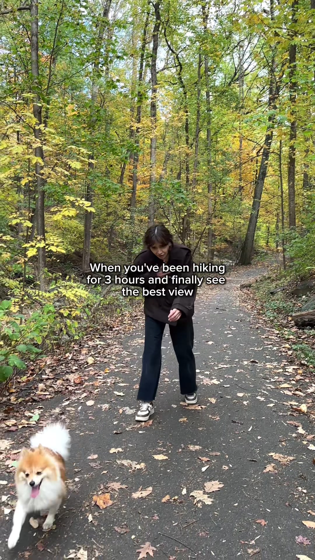 @am&iacute;na