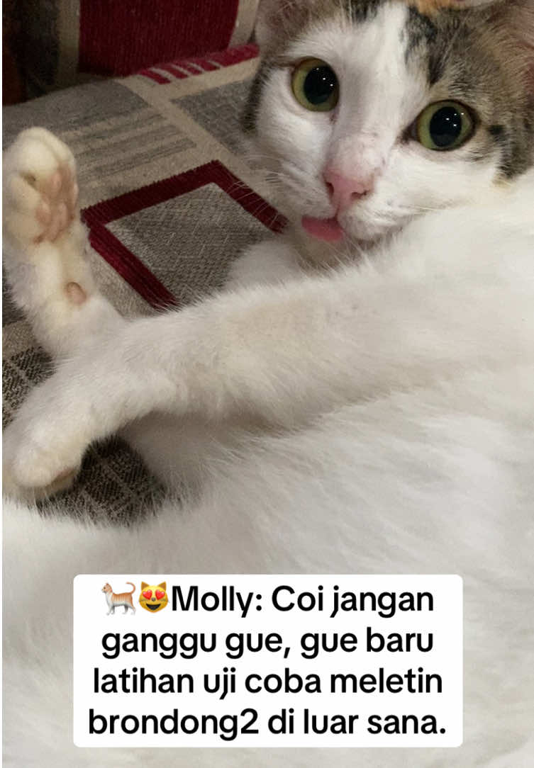 @ARIF YULIANTO