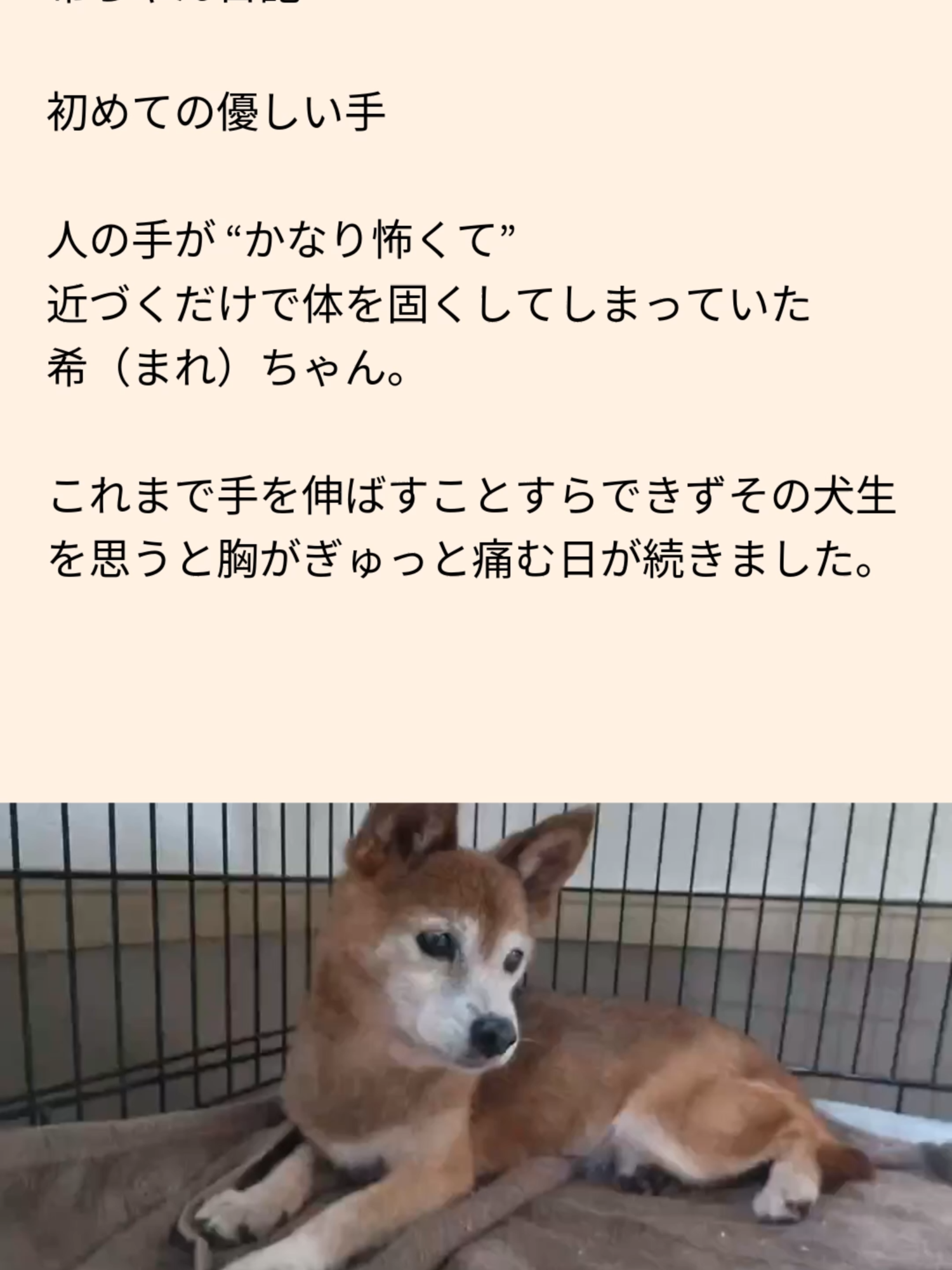 @NPO法人エターナル・ホーム