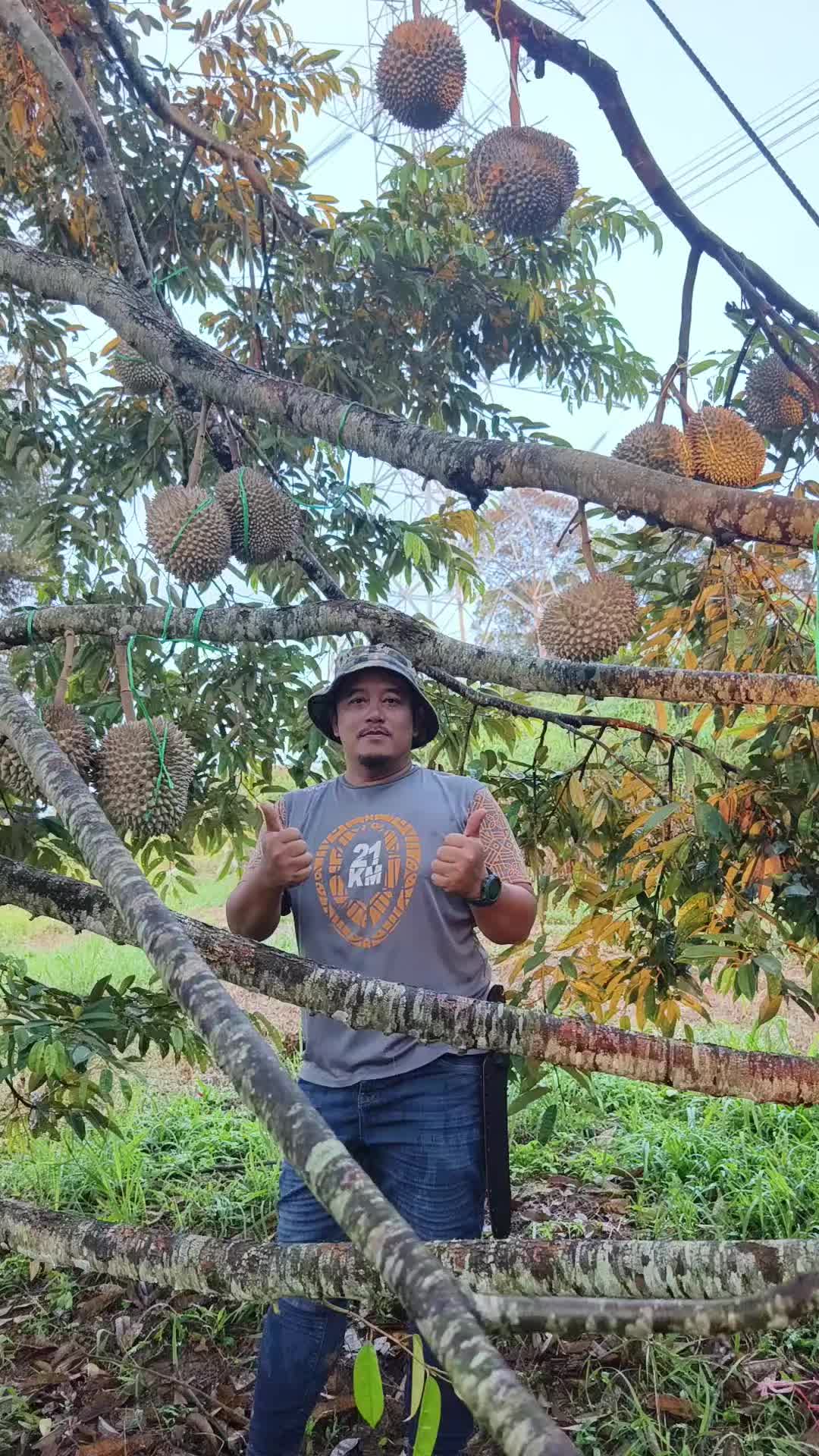 @Adnan Sharif